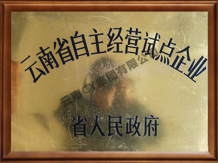 遼寧省自主經營試點企業